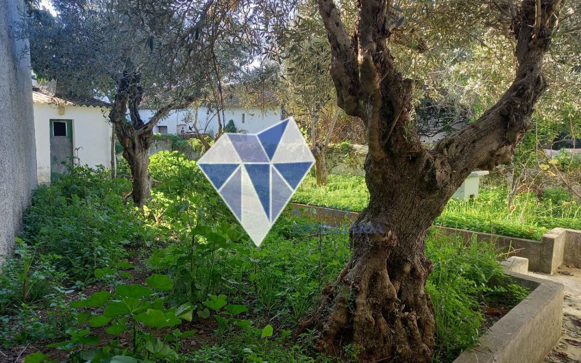 Moradia em Banda T2 Degolados – Campo Maior